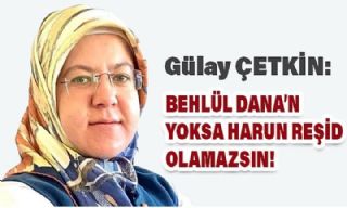 Behlül Dana’n Yoksa Harun Reşid Olamazsın!