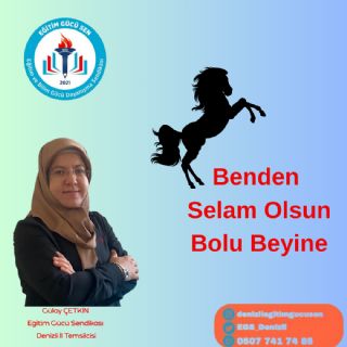 Benden Selam Olsun Bolu Beyine!