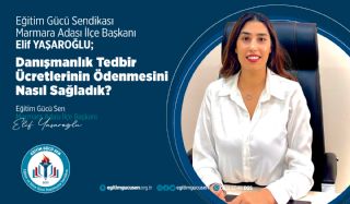 Eğitim Gücü Sen Danışmanlık Tedvir Karar Dosyalarına Ücret Ödenmesini Nasıl Sağladı?